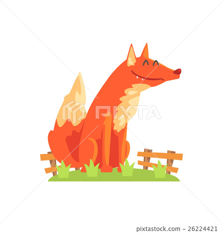 Common Red Fox With Fluffy Coat Standing On Green 26224421