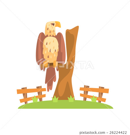 Bald American Eagle Sitting On Tree Branch In Open 26224422