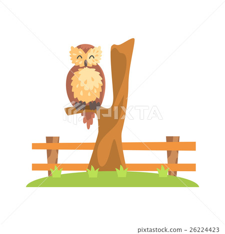Brown Owl With Fluffy Feather Coat Sleeping On The 26224423