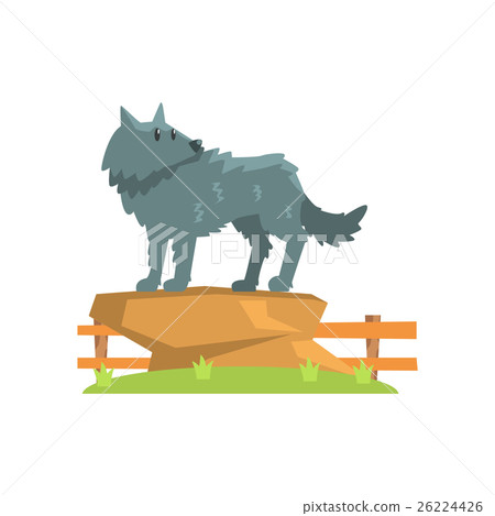 Grey Wolf Standing On Large Rock On Green Grass Grey Wolf Standing On Large Rock On Green Grass 26224426