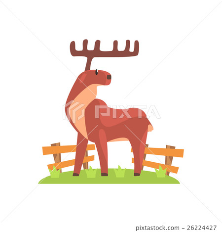 Brown Deer WIth Wide Antlers Standing On Green Brown Deer WIth Wide Antlers Standing On Green 26224427