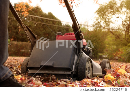 Man collecting old autumn leaves by Lawn Mover Man collecting old autumn leaves by Lawn Mover 26224746
