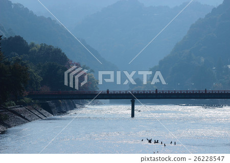 在宇治市宇治市的宇治河的風景 26228547