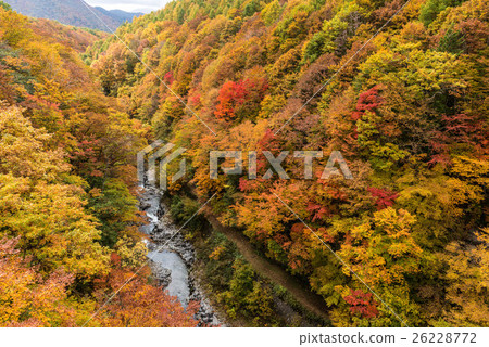 Fall of the Nakatsugawa Valley 26228772
