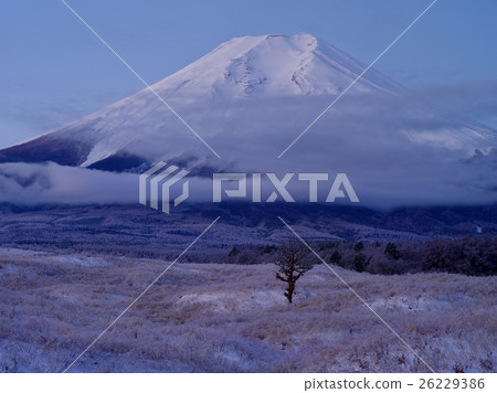 在Salmon Rain冰山的早晨 在Salmon Rain冰山的早晨 26229386