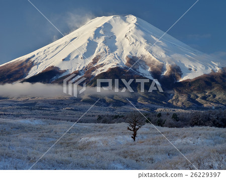 在Salmon Rain冰山的早晨 在Salmon Rain冰山的早晨 26229397