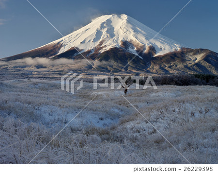 在Salmon Rain冰山的早晨 在Salmon Rain冰山的早晨 26229398