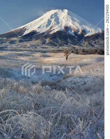 在Salmon Rain冰山的早晨 在Salmon Rain冰山的早晨 26229400