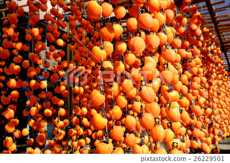 柿餅(長野縣飯田市) 柿餅(長野縣飯田市) 26229501