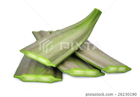 Oroxylum indicum isolated on white background 26230190