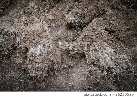yard work, preparation soil in garden 26230580