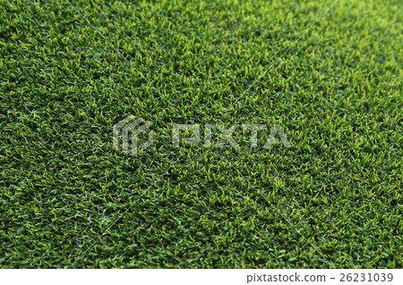 artificial green grass, grass texture background 26231039