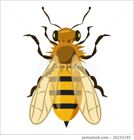 Insects bee icon, cartoon style Insects bee icon, cartoon style 26233145