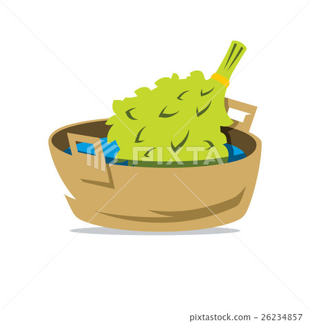 Oak Broom in Basin Vector Cartoon Illustration. 26234857