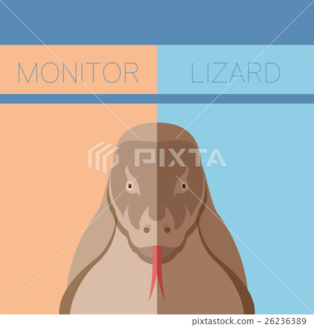 Monitor lizard flat postcard Monitor lizard flat postcard 26236389