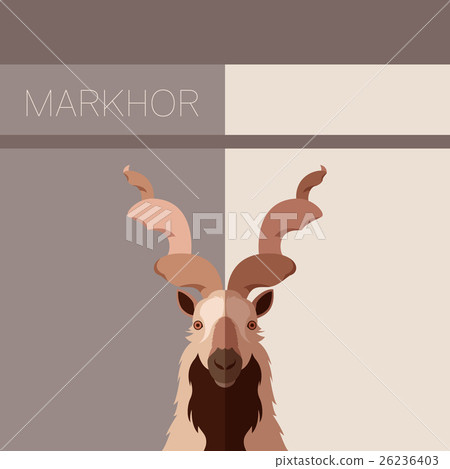 Markhor flat postcard 26236403