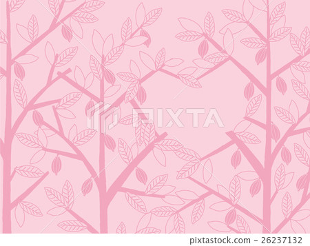 情人節的可可樹 26237132