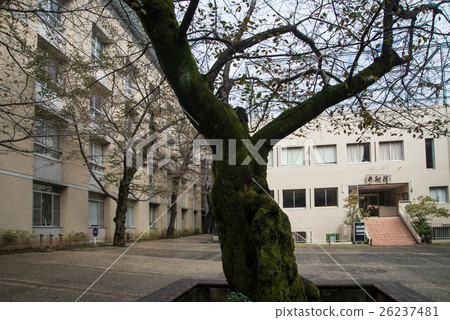 東京農業大學第一中學，東京農業大學第一中學 26237481