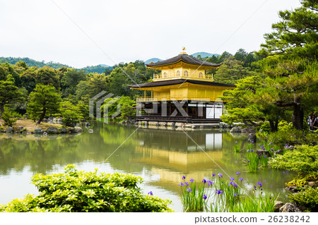 Golden temple kinkakuji Golden temple kinkakuji 26238242