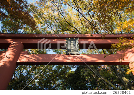Setagaya Hachimangu Shrine Miyasaka Setagaya-ku, Tokyo 26238401