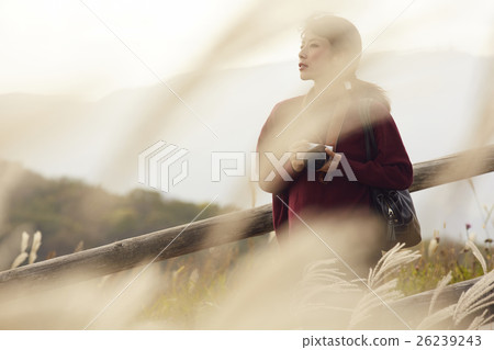 A woman sightseeing to see the Tohoku A woman sightseeing to see the Tohoku 26239243