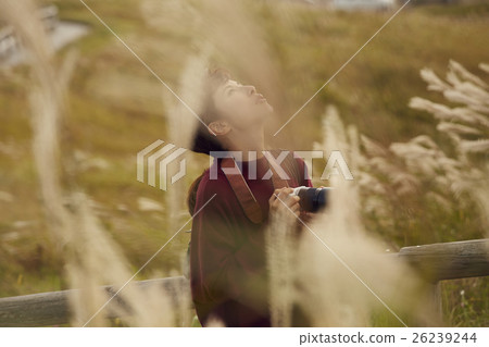 觀光的婦女看東北 觀光的婦女看東北 26239244