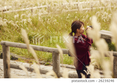 觀光的婦女看東北 觀光的婦女看東北 26239246