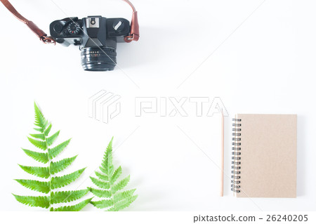 Flat lay of earth tone notebook, camera and fern Flat lay of earth tone notebook, camera and fern 26240205