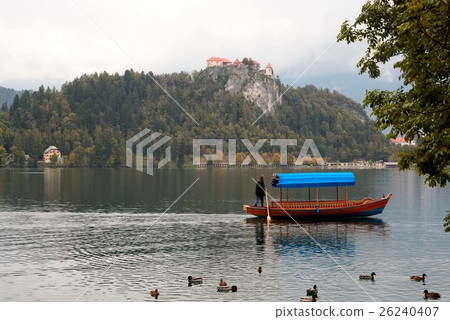 鴨子和划艇在布雷特湖 26240407