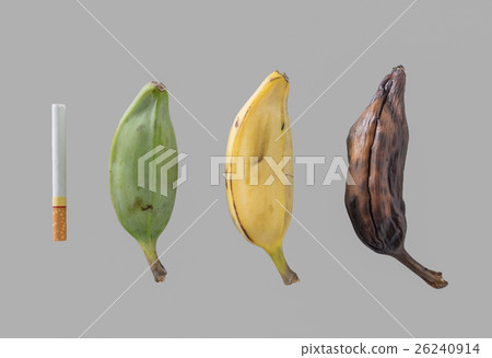 Cigarette cause of wither banana Cigarette cause of wither banana 26240914