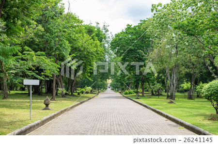 Road straight orderly ornamental garden Road straight orderly ornamental garden 26241145
