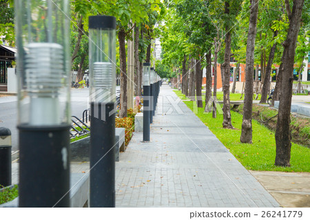 light pole with footpath with in university campus light pole with footpath with in university campus 26241779