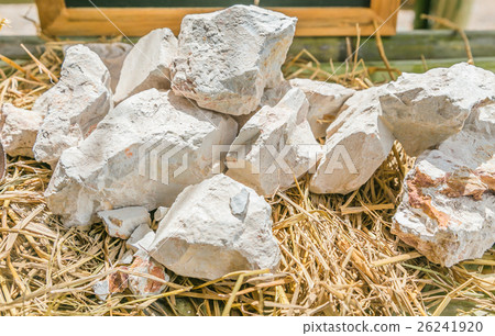 Kaolin, China clay or White Rock  26241920