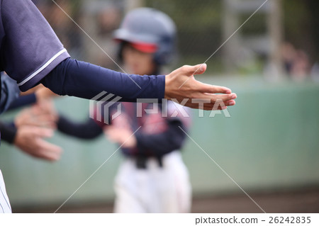 Baseball · Bench 26242835