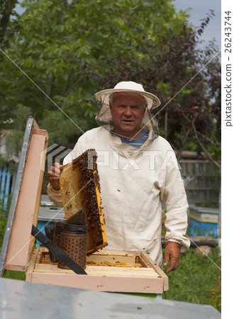 Beekeeper on apiary. pulling frame from the hive 26243744