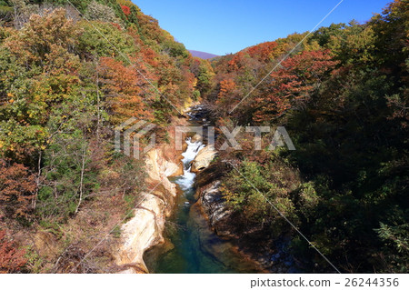 Autumn leaves of Yokokawa Valley 26244356