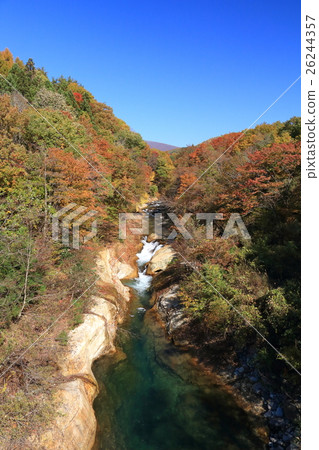 Autumn leaves of Yokokawa Valley Autumn leaves of Yokokawa Valley 26244357