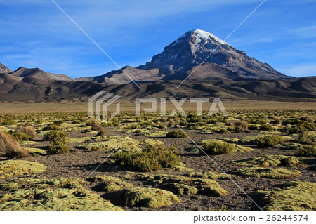 Sajama National Park, Bolivia 26244574