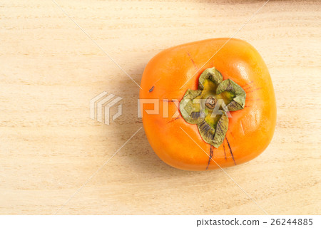 Squirrel persimmon trees back Squirrel persimmon trees back 26244885