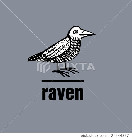 Black raven. Vector illustration. Black raven. Vector illustration. 26244887