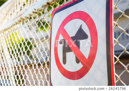 no dog zone sign in the park. 26245796