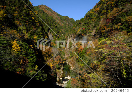 Kawaura Valley 1 26246443