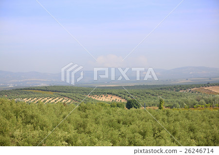 Spanish countryside scenery 26246714