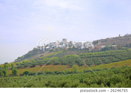 Spanish countryside scenery Spanish countryside scenery 26246785
