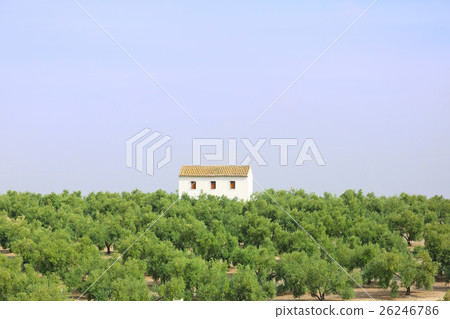 Spanish countryside view Spanish countryside view 26246786