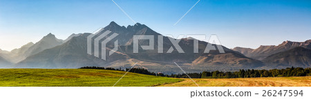 rural field in Tatra mountains 26247594
