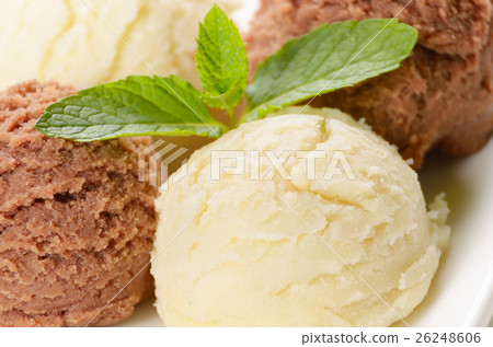 Cocoa and vanilla ice cream scoop Cocoa and vanilla ice cream scoop 26248606