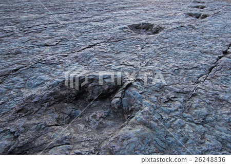 Huge dinosaur footprints, Maragua, Bolivia 26248836