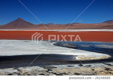 Laguna Colorada Bolivia Laguna Colorada Bolivia 26248880