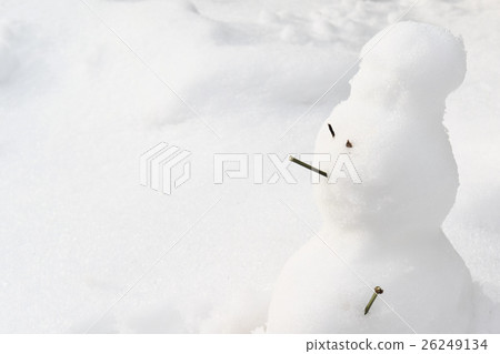 雪人 26249134